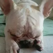 れいな