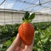 rukarukaの画像