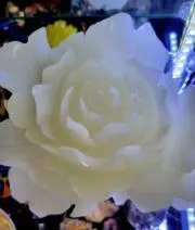 月詠さんのパワーストーンの画像