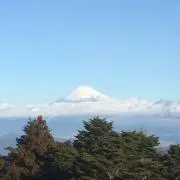 のっこ