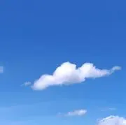 ルイボスとレモンの画像