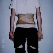 きりぎりす人生の画像