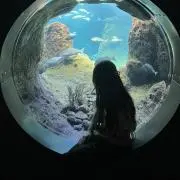 うーたんの画像
