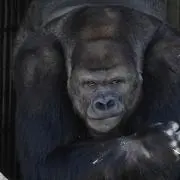 宙