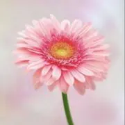 0358の画像