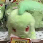 ブンブンチコリータの画像