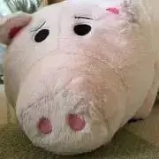 ponの画像