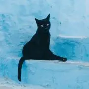 yuの画像