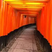 1200の画像