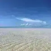 Y&Rの画像