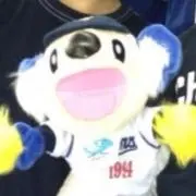 tomotomo