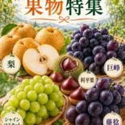 お野菜.comの画像