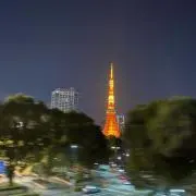 S J S