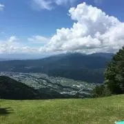 たかの画像