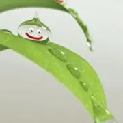 ★の画像