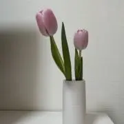 chiiの画像