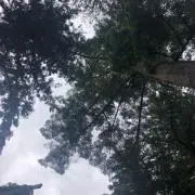 カル
