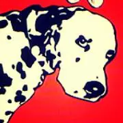Doggy