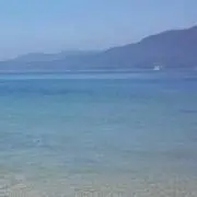 春先の画像