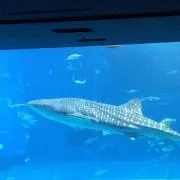 天空の城
