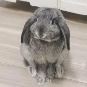 さっちゃん