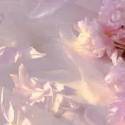 Sの画像