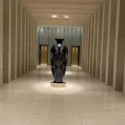 くーの画像