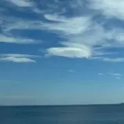 るるん（お値下げ◎です）の画像