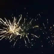 パイナポーの画像