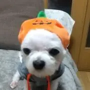 nanyの画像