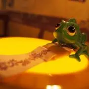 ちょんぷの画像