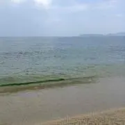 だいキング