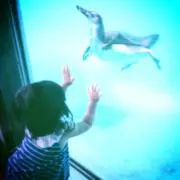 ゆきんこ
