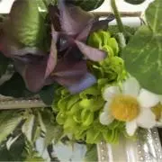 ぐりぐら