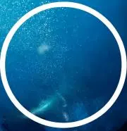 ★※プロフィール必読の画像