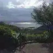 ミミミの画像