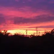 ベジータの画像