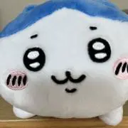 チーカワの画像