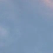 molの画像
