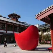 椿