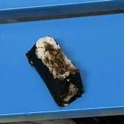 あじーんの画像