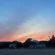 バイ