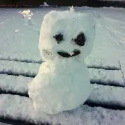 しんの画像