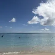 coco☆の画像