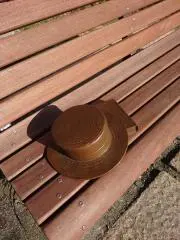 saの画像