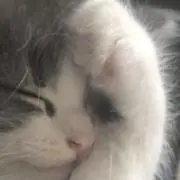 ♡の画像