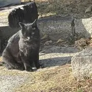 とわ