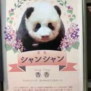 しらたまあんみつまるの画像