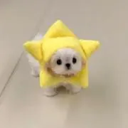 オルの画像