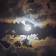 мӵӵ 断捨離中!!!の画像